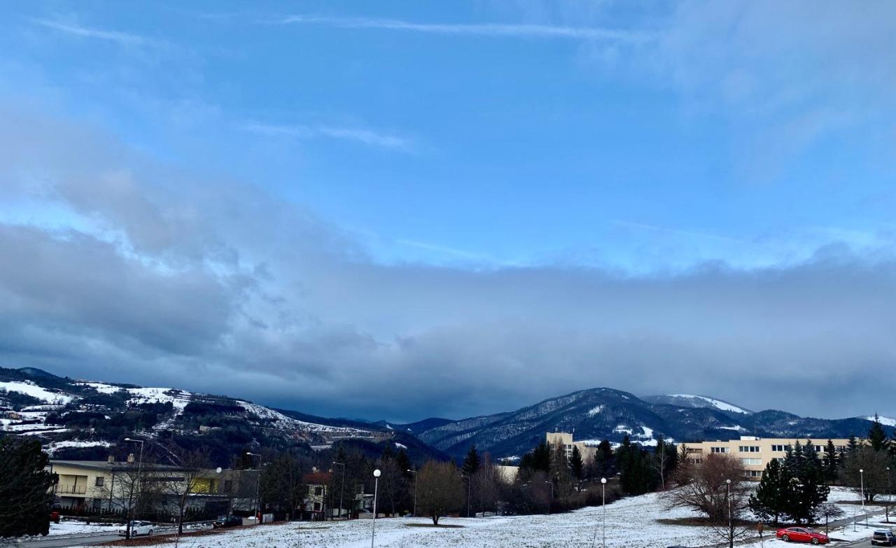 Bl - The Executive Suite, Boru - 24Hr Self Check-In, Free Private Parking, Balcony With Mountain View, 5 Minute Walk To City Center Banska Bystrica Luaran gambar