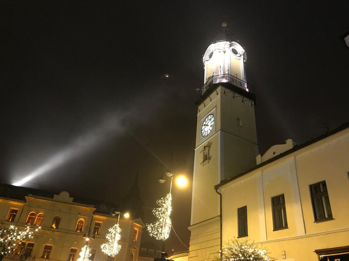 Bl - The Executive Suite, Boru - 24Hr Self Check-In, Free Private Parking, Balcony With Mountain View, 5 Minute Walk To City Center Banska Bystrica Luaran gambar