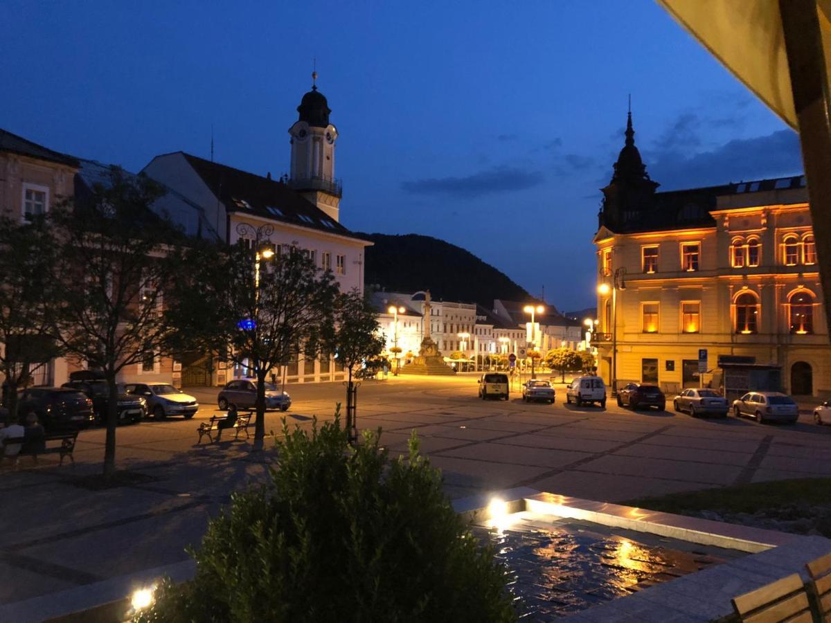 Bl - The Executive Suite, Boru - 24Hr Self Check-In, Free Private Parking, Balcony With Mountain View, 5 Minute Walk To City Center Banska Bystrica Luaran gambar